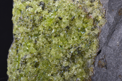 Péridotite-Olivine (inclusion dans échantillon de basalte)